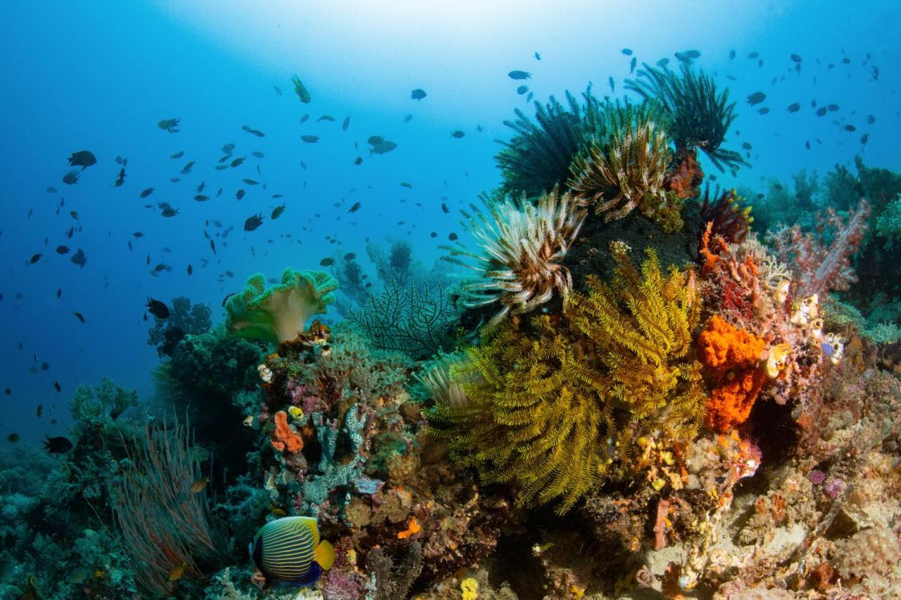 Metita Beach & Dive Resort Daruba Zewnętrze zdjęcie