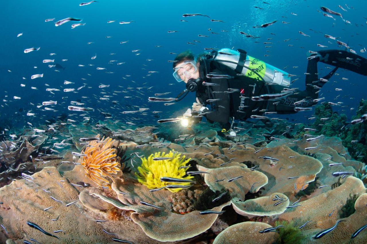 Metita Beach & Dive Resort Daruba Zewnętrze zdjęcie